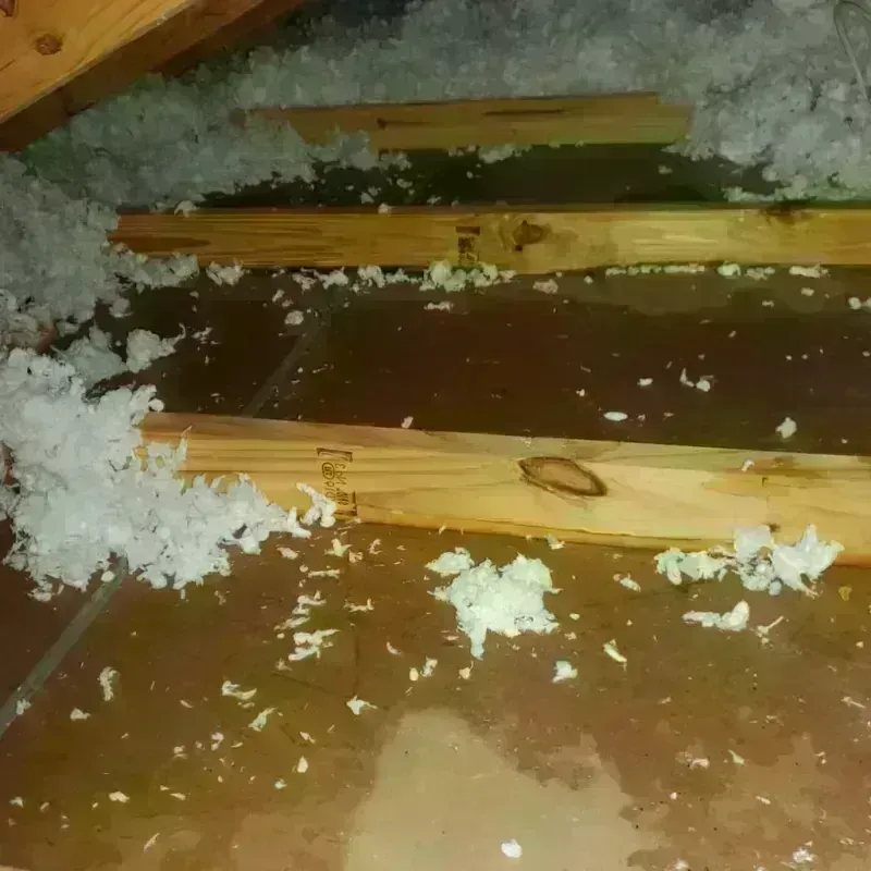 Attic Water Damage in Wyoming County, WV